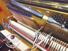 Load image into Gallery viewer, Piano Tuning & Repair ™ 钢琴调音与维修 (KL Selangor Only)