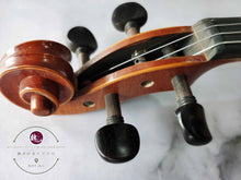 Load image into Gallery viewer, Fine Violin Collection ™ 珍品小提琴