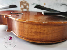 Load image into Gallery viewer, Fine Violin Collection ™ 珍品小提琴