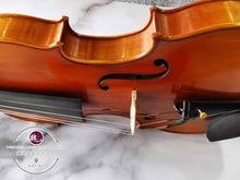 Load image into Gallery viewer, Fine Violin Collection ™ 珍品小提琴