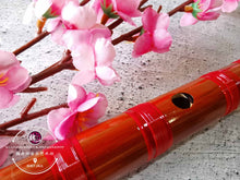 Load image into Gallery viewer, Bamboo Flute Learning Professional Dizi Red ™ 学习型笛子 红