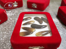 Load image into Gallery viewer, Gu Zheng Pattern Finger Picks™ 花纹古筝指甲