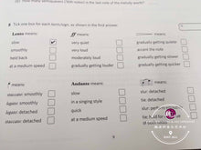 Load image into Gallery viewer, ABRSM Music Theory Practice Paper 2018 Grade 1