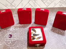 Load image into Gallery viewer, Gu Zheng Pattern Finger Picks™ 花纹古筝指甲