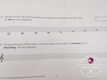 Load image into Gallery viewer, ABRSM Music Theory Practice Paper 2019 Grade 3