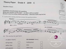 Load image into Gallery viewer, ABRSM Music Theory Practice Paper 2019 Grade 4