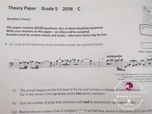 Load image into Gallery viewer, ABRSM Music Theory Practice Paper 2018 Grade 5