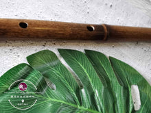 Load image into Gallery viewer, Bamboo Flute Spot Style™ 紫竹斑点素笛