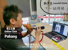 Load image into Gallery viewer, Cucurbit Flute Lesson 葫芦丝课