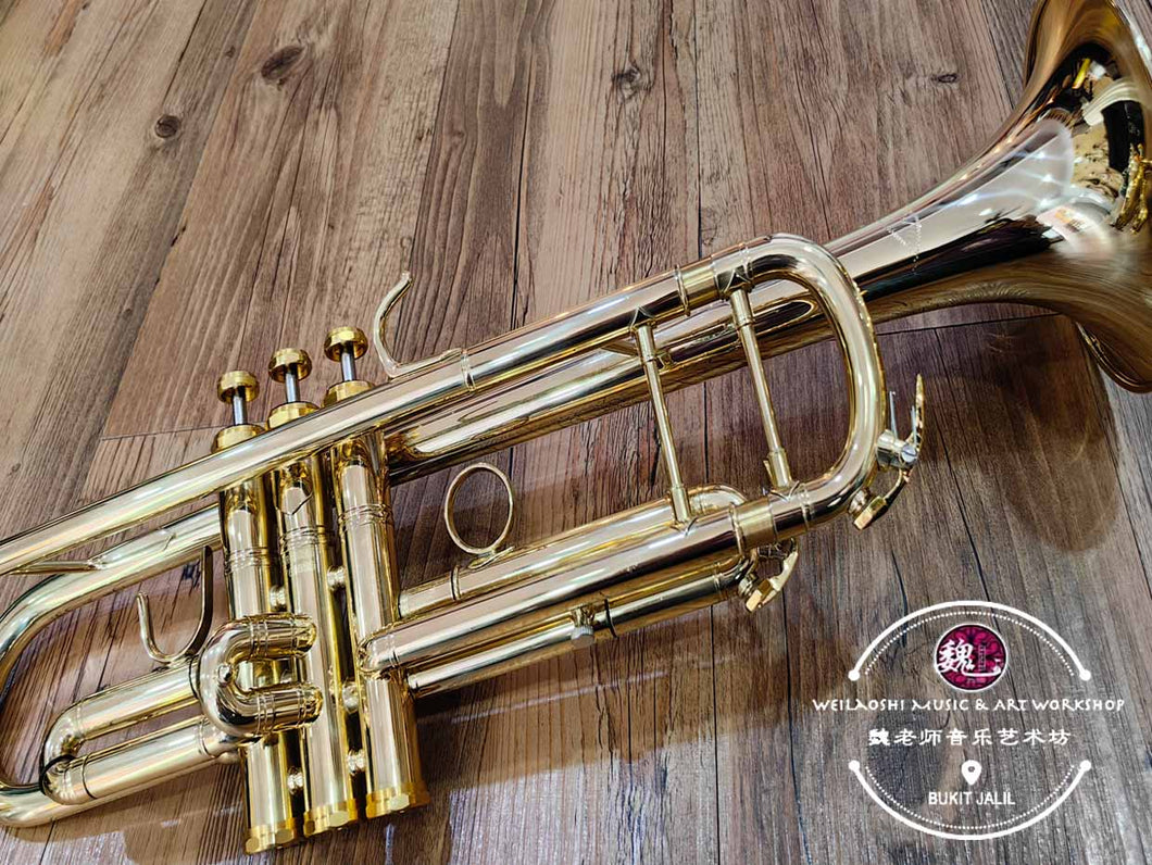 Trumpet for Beginner 小号 金色
