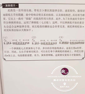 Pipa Fingering Practice Book ™ 琵琶指能练习曲