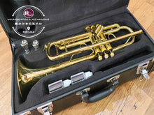 Load image into Gallery viewer, Trumpet for Beginner 小号 金色
