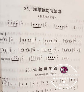 Pipa Practice Book ™ 琵琶练习曲