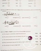 Load image into Gallery viewer, Grade 5 Learning Theory Is Fun Practice Papers with Answers Included
