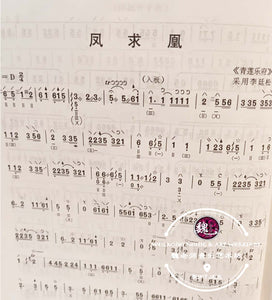 Pipa Practice Book ™ 琵琶练习曲