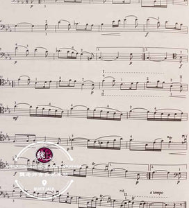 Suzuki Cello School Volume 7 by International Suzuki Association