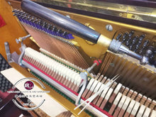 Load image into Gallery viewer, Piano Tuning &amp; Repair ™ 钢琴调音与维修 (KL Selangor Only)
