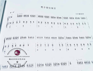 Guzheng Examination Grading Book Level 7-9-Performance Level ™ 古筝考级曲目7-9级-演奏级