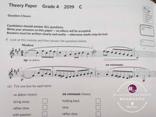 Load image into Gallery viewer, ABRSM Music Theory Practice Paper 2019 Grade 4
