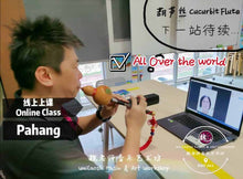 Load image into Gallery viewer, Cucurbit Flute Lesson 葫芦丝课
